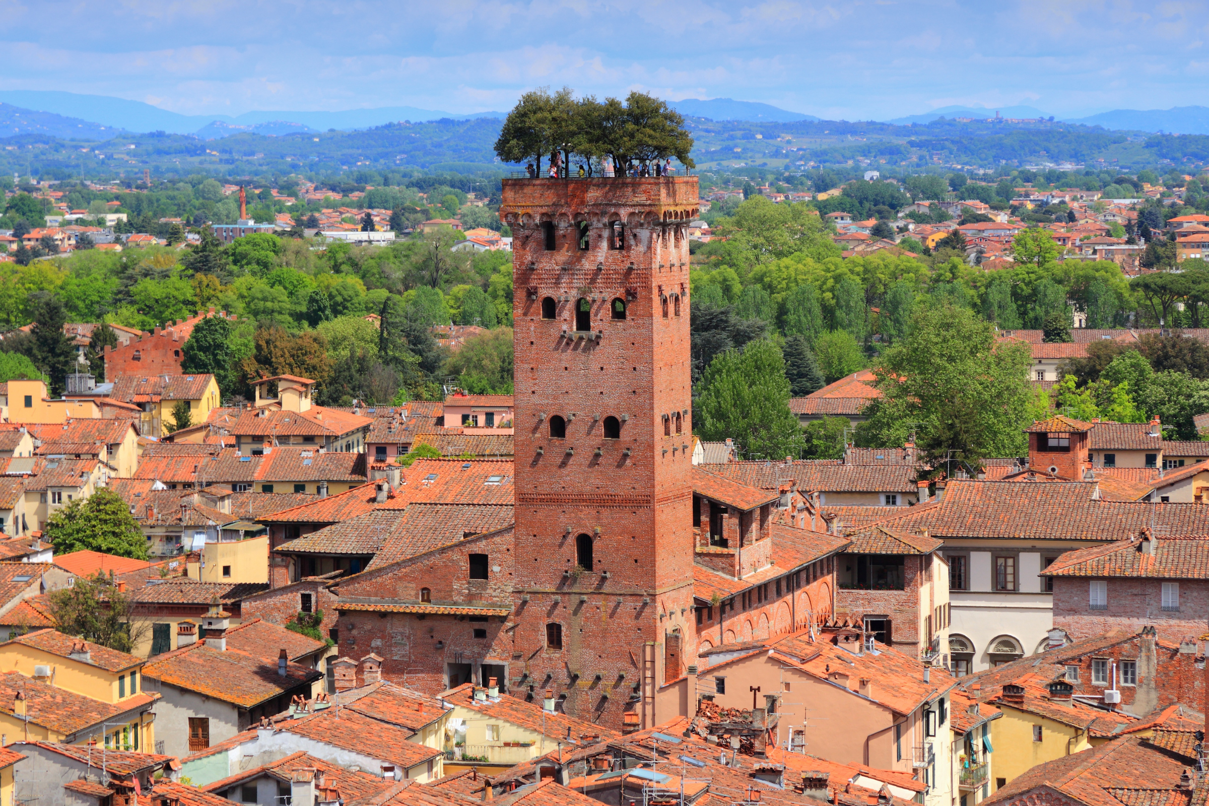 76 lucca.webp
